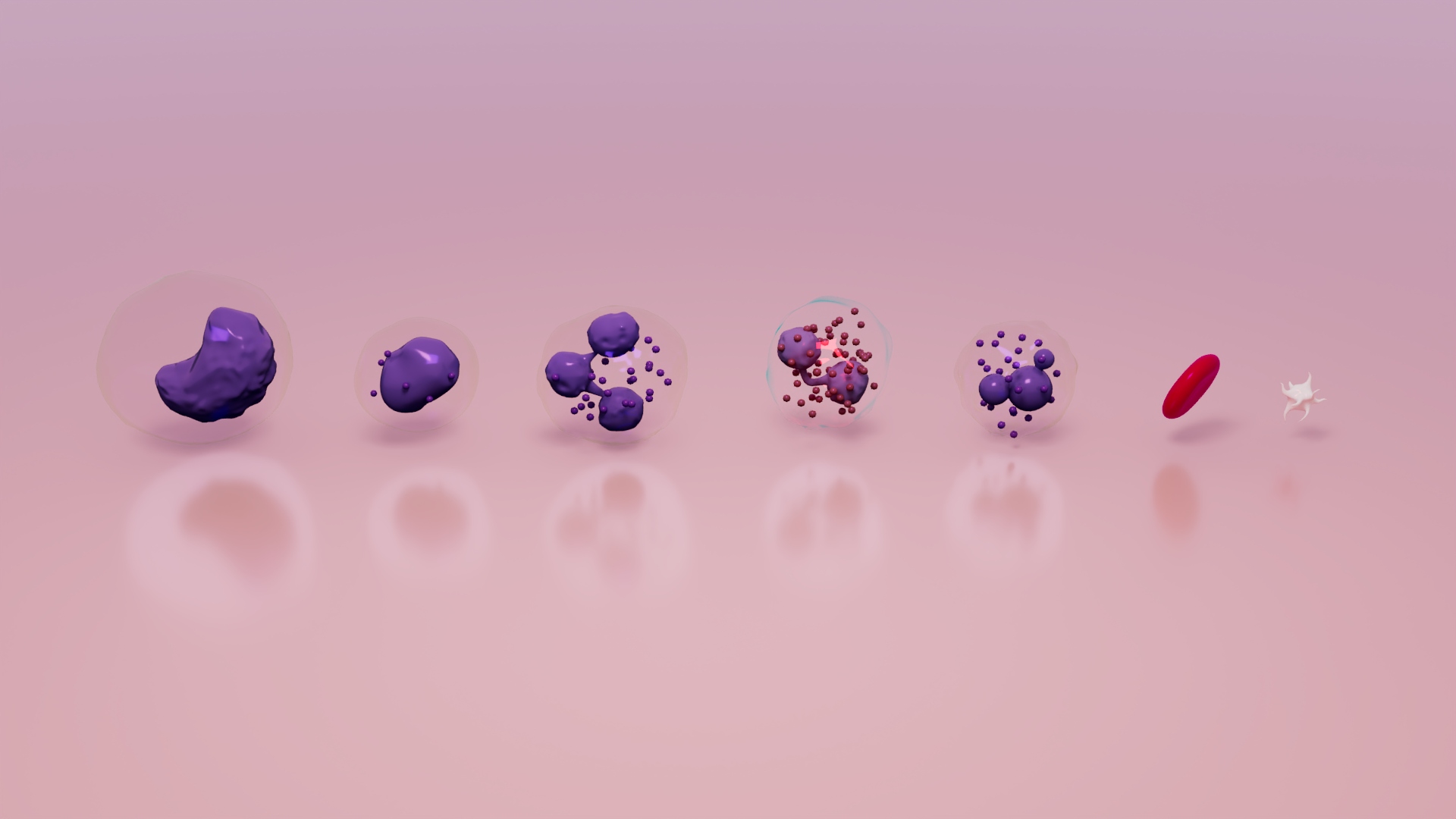 3D Blood Cells — view 1