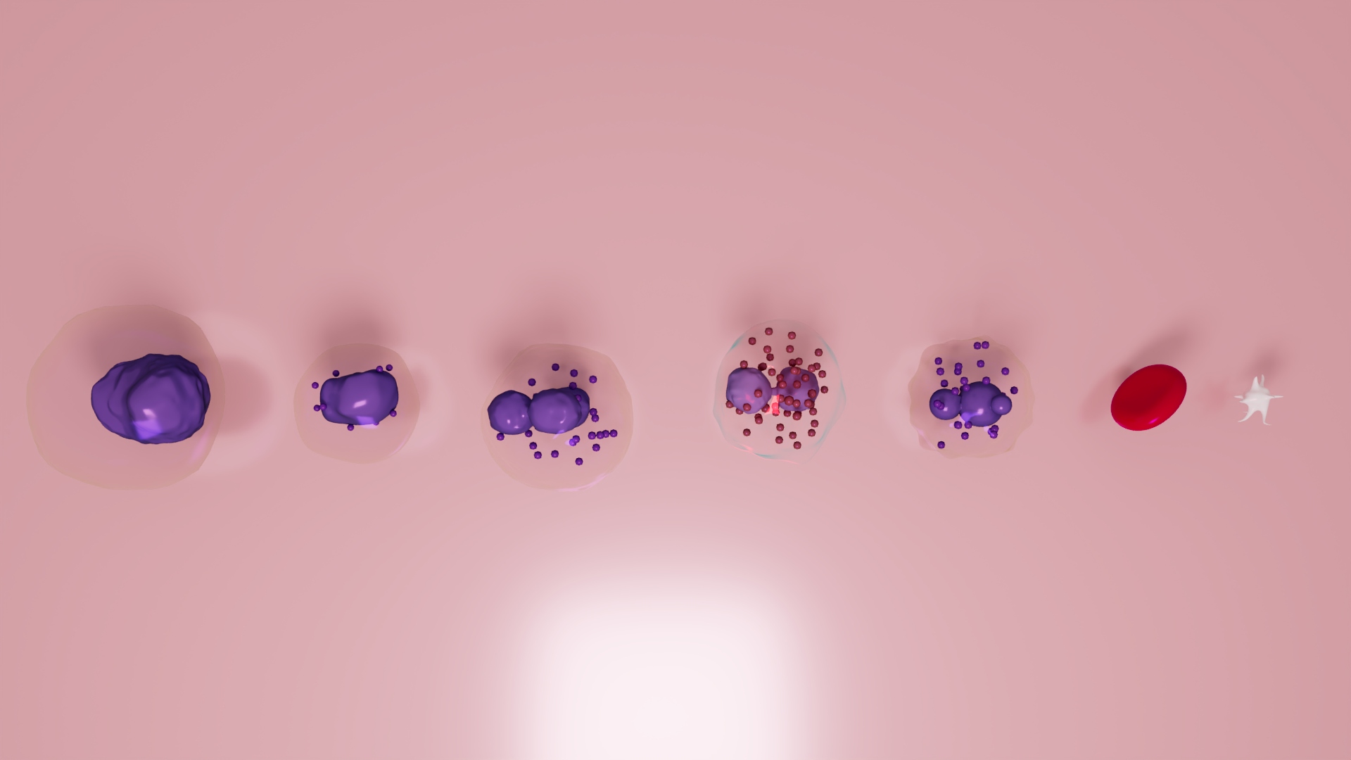 3D Blood Cells — view 2