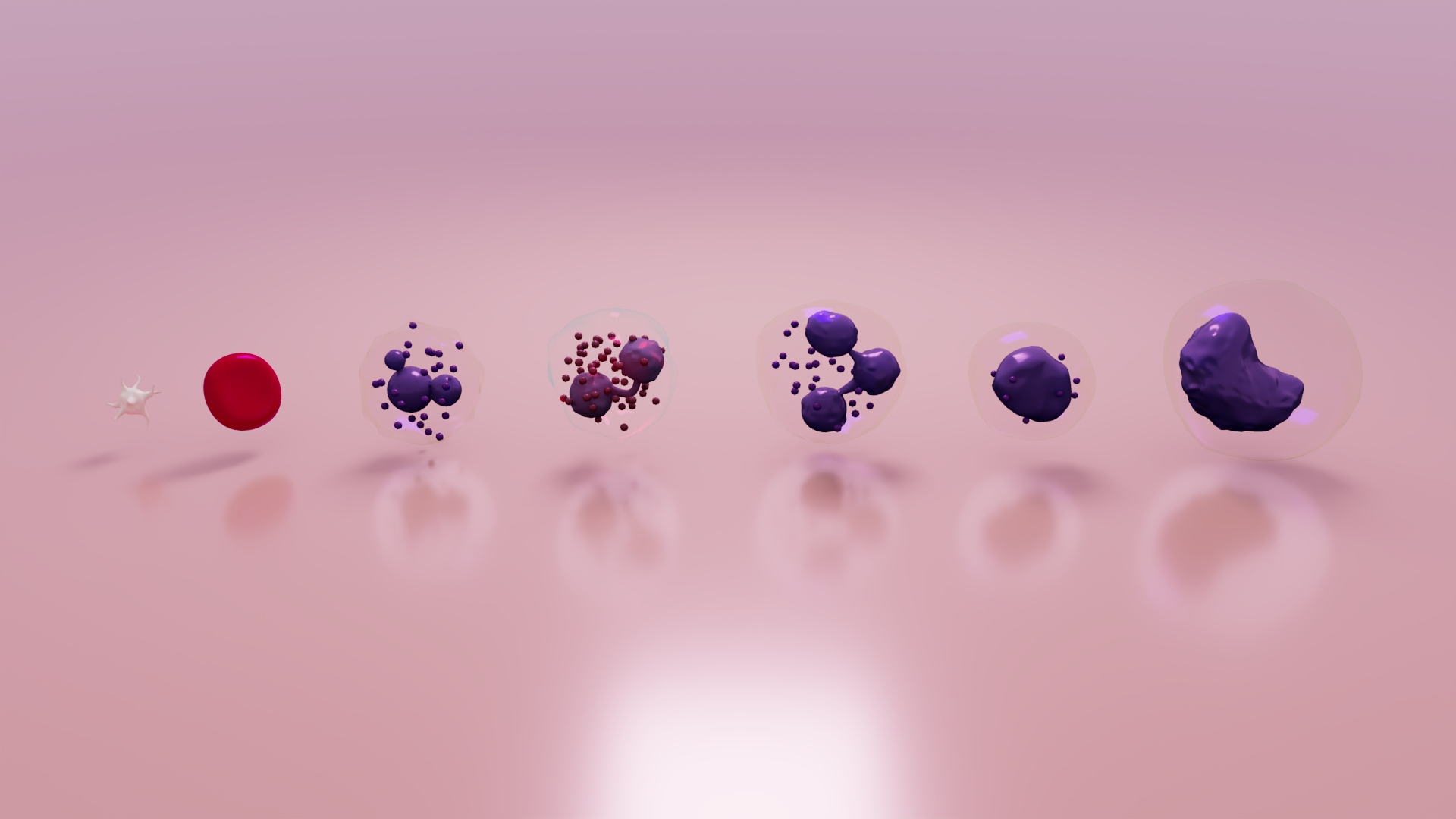 3D Blood Cells — view 3