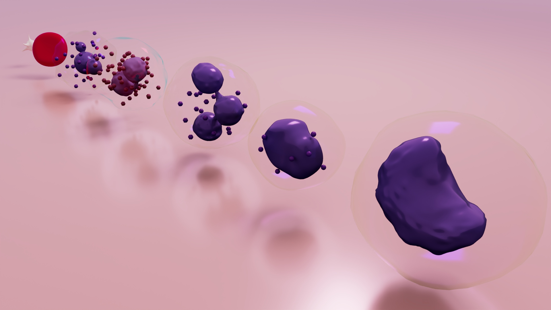 3D Blood Cells — view 4