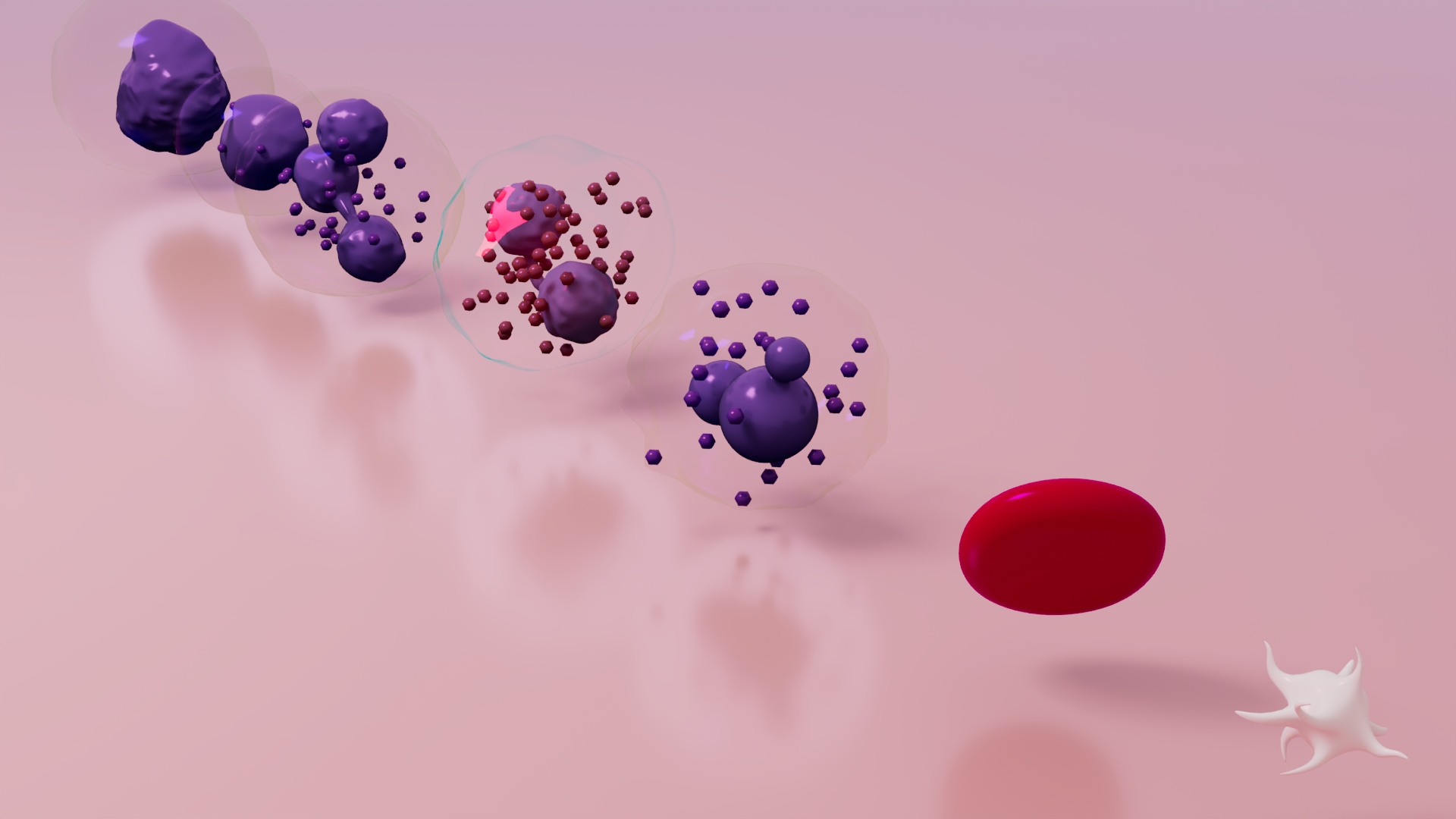 3D Blood Cells — view 5