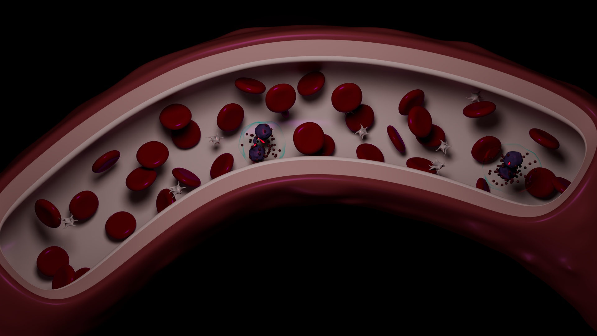 3D Blood Cells in Blood Vessel — view 1
