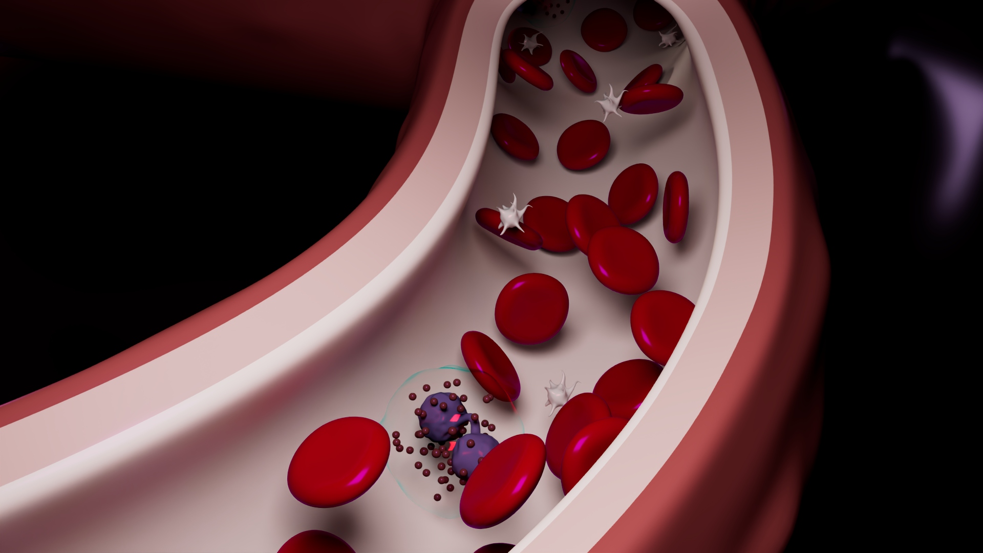 3D Blood Cells in Blood Vessel — view 2