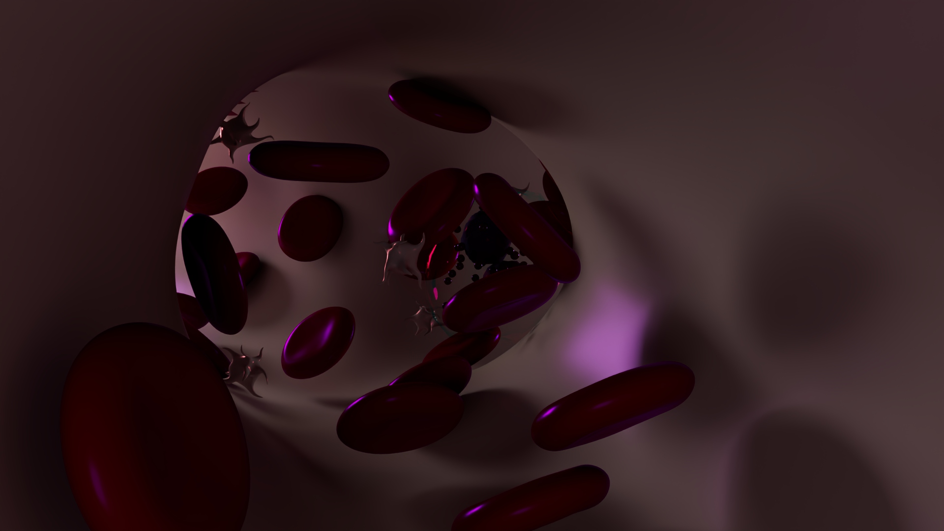 3D Blood Cells in Blood Vessel — view 3