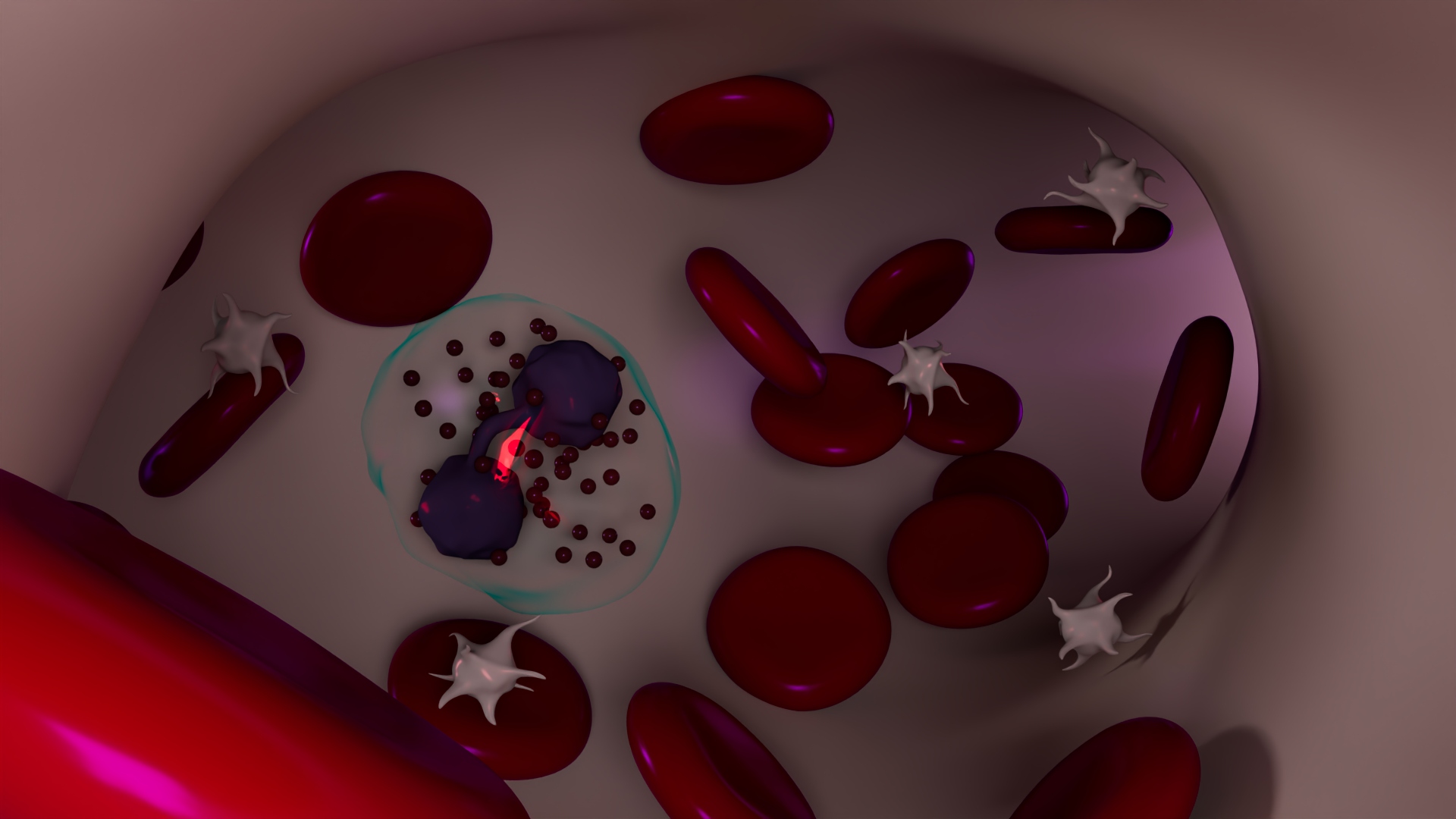3D Blood Cells in Blood Vessel — view 4