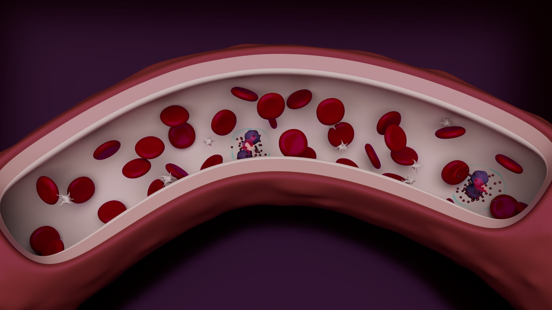 3D Blood Cells in Blood Vessel — view 5