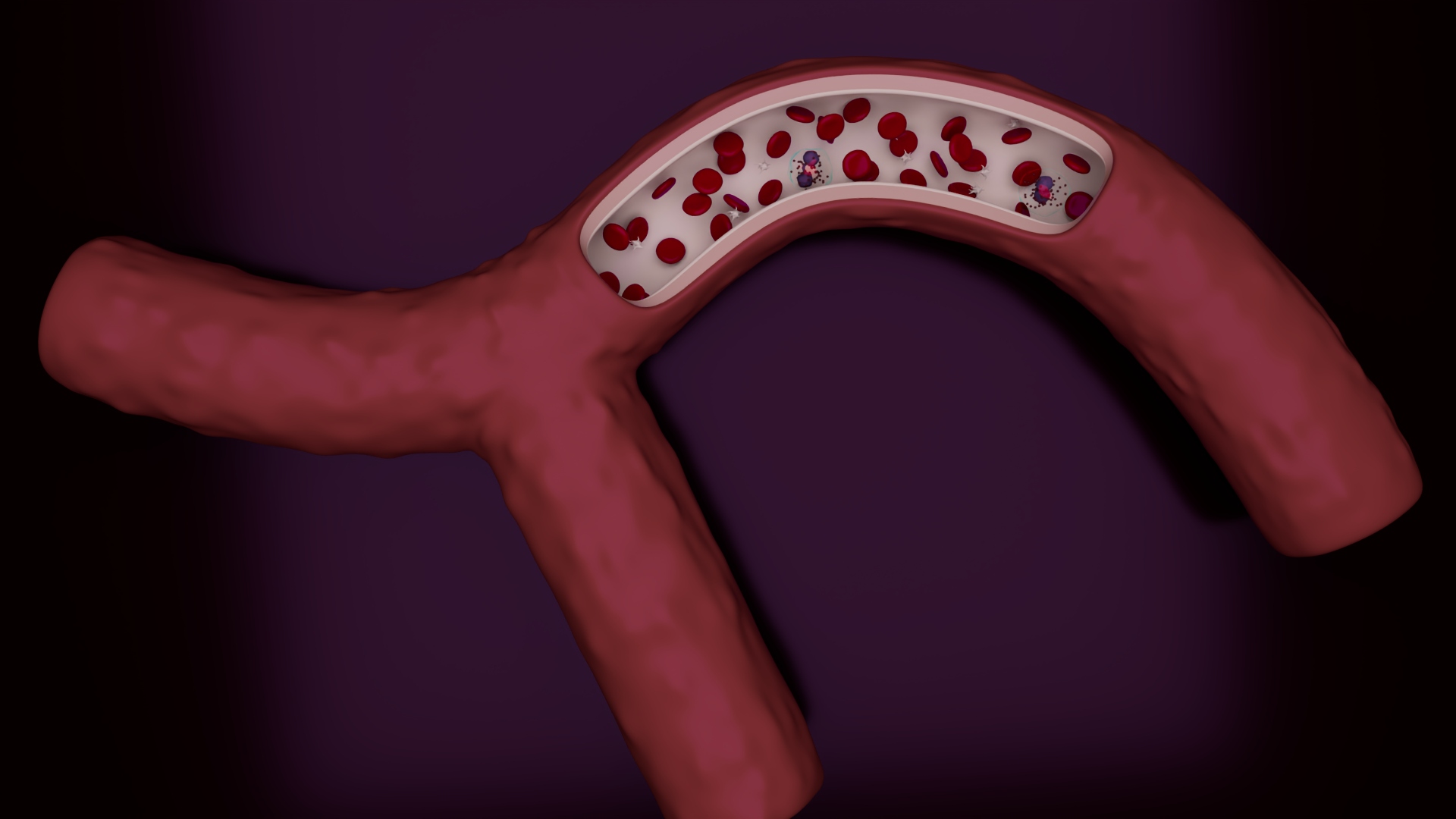 3D Blood Cells in Blood Vessel — view 6