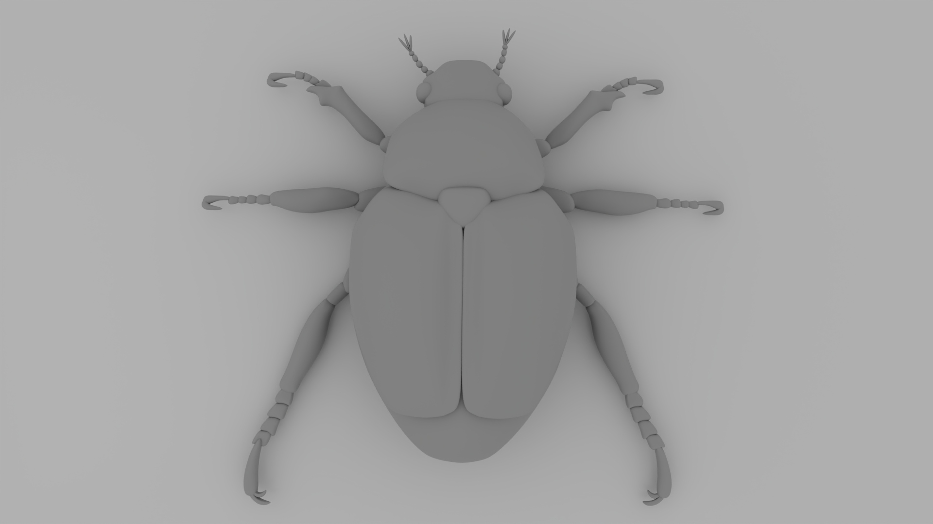 Japanese Beetle 3D Model — view 1