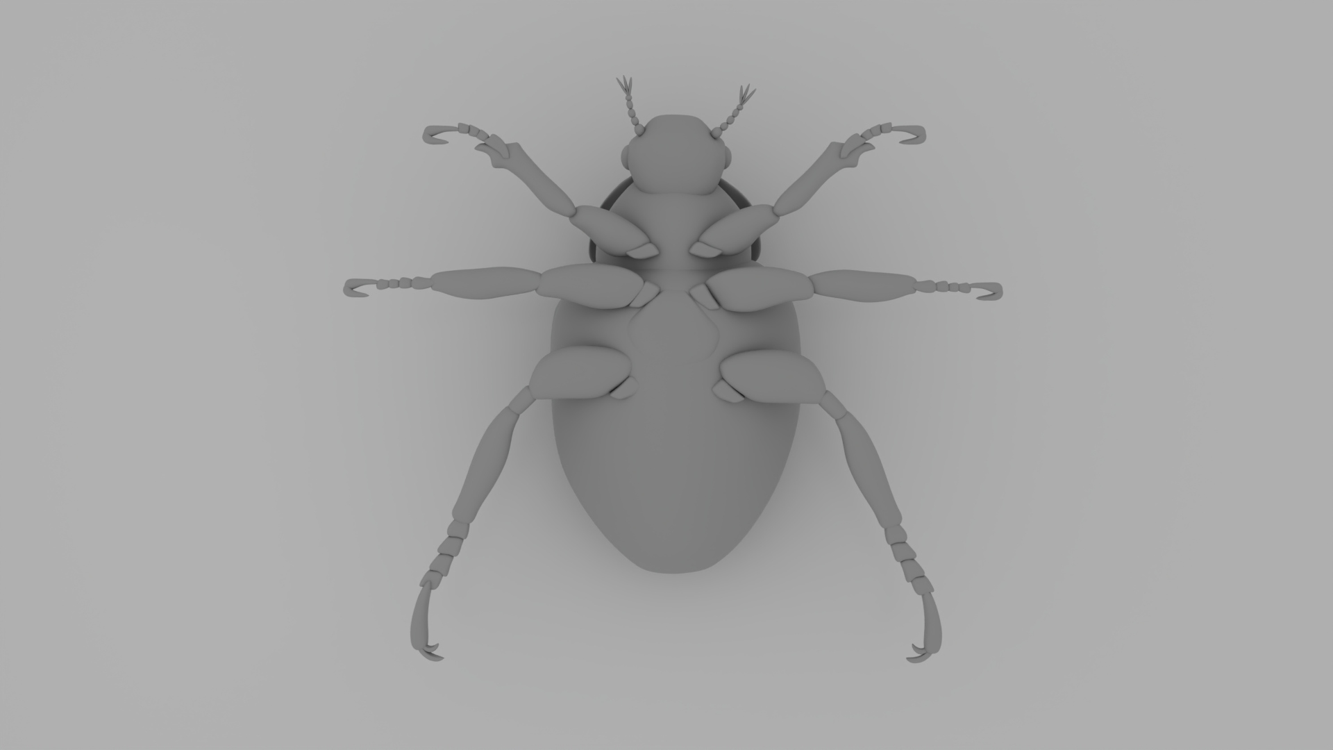 Japanese Beetle 3D Model — view 2