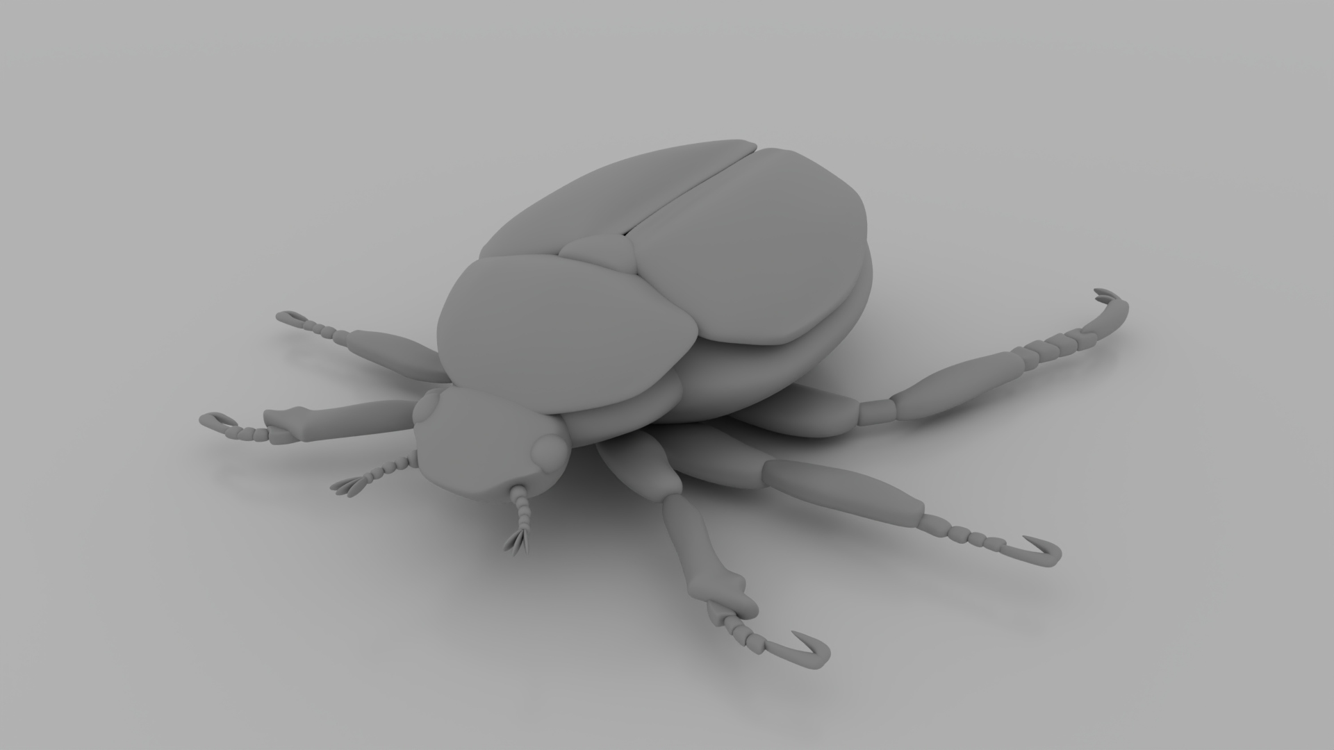 Japanese Beetle 3D Model — view 3