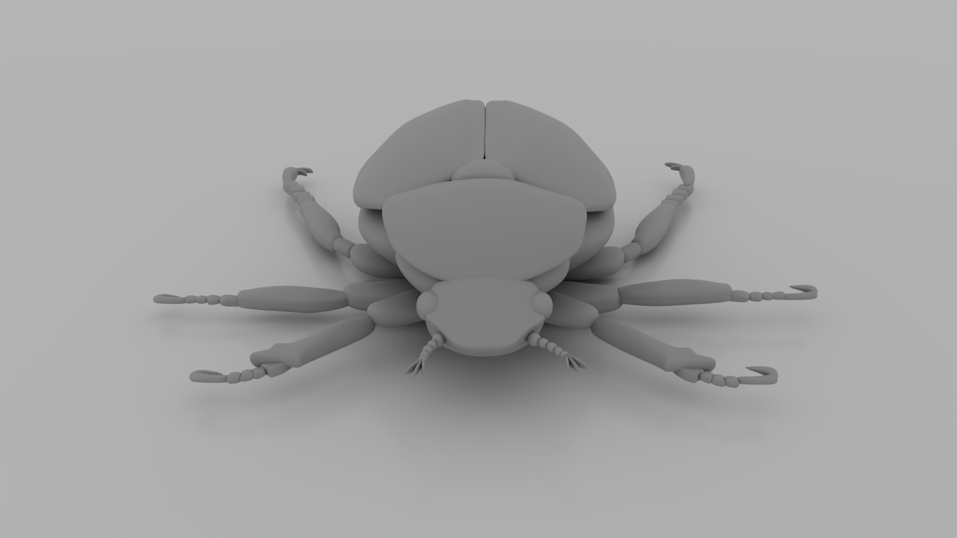 Japanese Beetle 3D Model — view 4