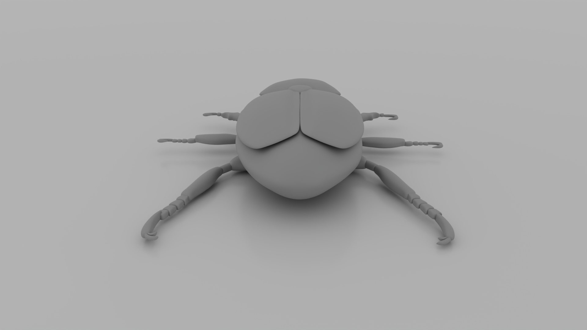 Japanese Beetle 3D Model — view 5